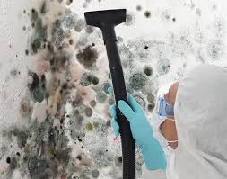 Best Mold Removal for HVAC Installations in USA